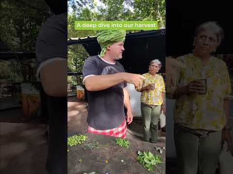 Beyond Commercial Food: Holistic Health & Permaculture
