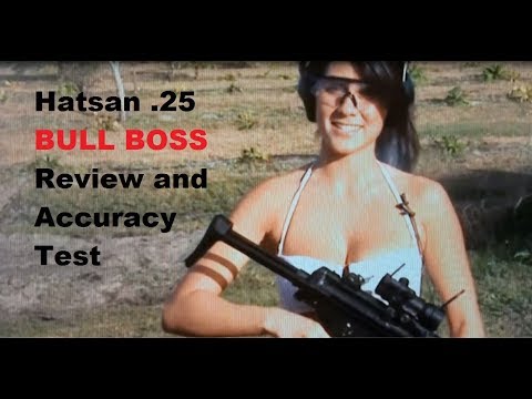 Hatsan GALATION Review (.25 cal PCP Air Rifle) by Airgun Channel