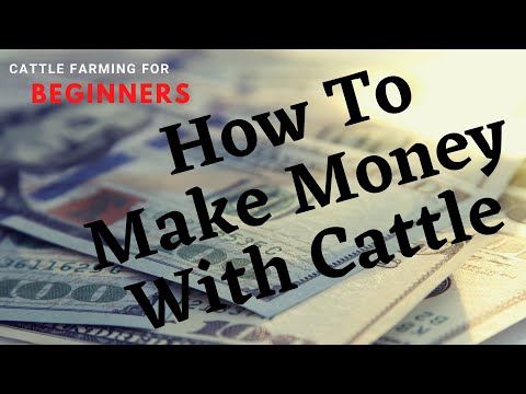 , title : 'HOW TO MAKE MONEY WITH CATTLE: Cattle Farming For Beginners'