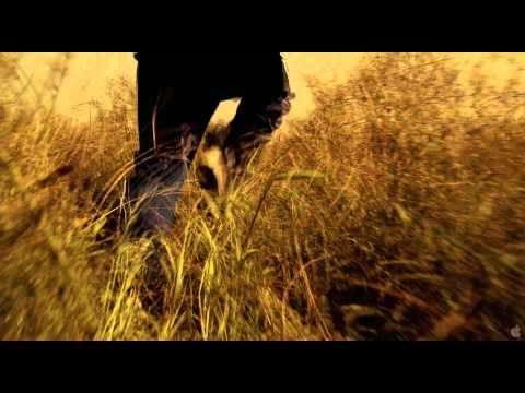 Sleepwalk With Me (Clip 'Comedian')