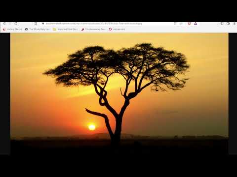 Javan - Ionians - Spain? - Wars between Persia and Greece - Cyrus - Shittim - Acacia - Part 13