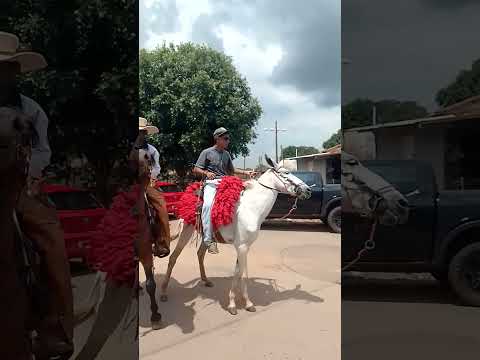 #cavalgada em Santa Bárbara de Goiás, Estado de Goiás, Brasil. Este evento aconteceu dia 24/10/2026