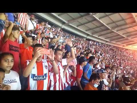 "algo increíble jamás visto en la hinchada" Barra: Frente Rojiblanco Sur &bull; Club: Junior de Barranquilla