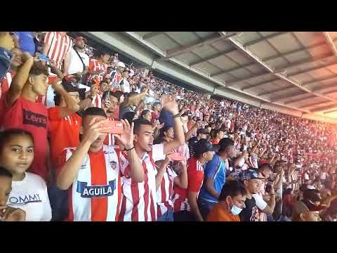 "algo increíble jamás visto en la hinchada" Barra: Frente Rojiblanco Sur • Club: Junior de Barranquilla