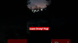 Download lagu Suara orong orong Pagi mp3