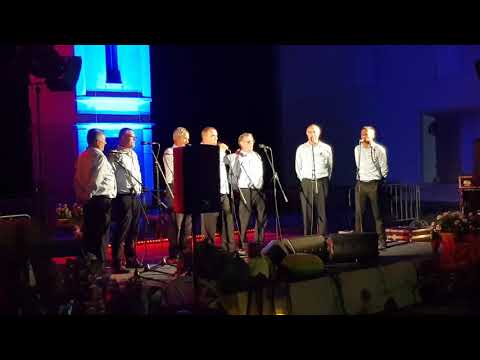 Vuksicki becari live