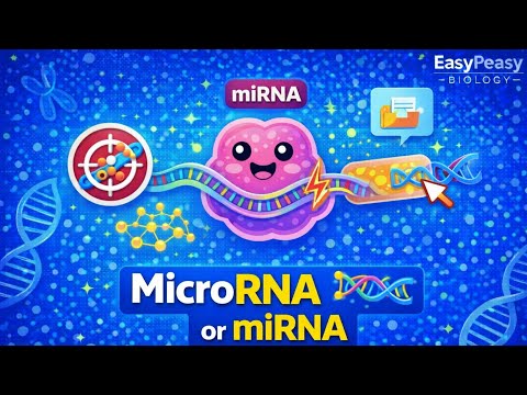 What Is miRNA? MicroRNA Explained Simply