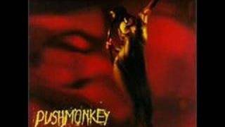Maybe - Pushmonkey