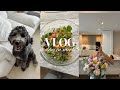 Day in the Life | wedding planning, cooking at home, spring in Boston! 🌷👰🏼‍♀️