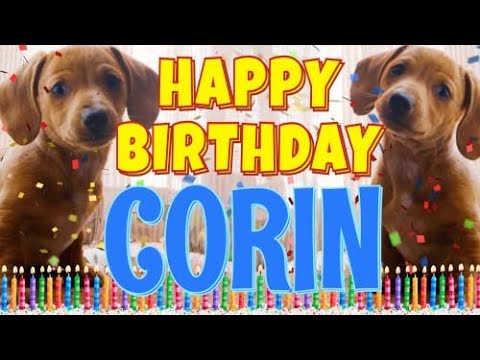 Happy Birthday Corin! ( Funny Talking Dogs ) What Is Free On My Birthday