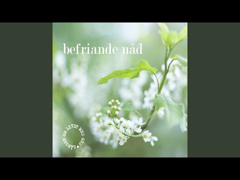 I Ditt ansiktes ljus