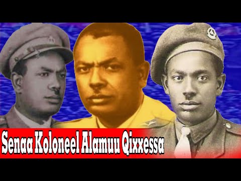 Seenaa konole Alamuu Qixxessa