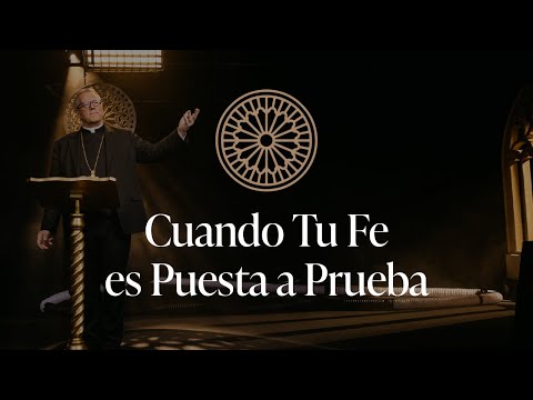 When Your Faith is Tested - Bishop Robert Barron's Sunday Sermon