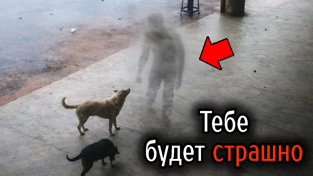 Самые Ужасные Видео со Всего Мира #90