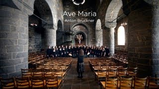 Schola Cantorum - Ave Maria (Bruckner)