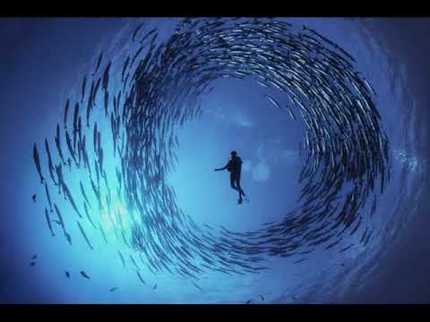 Rafael Huseynov Rizvan Sadirxanov haqqinda 4 mart 2018