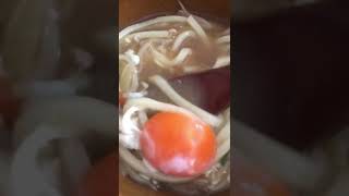 防御力の高いたまご🥚まったく割れない