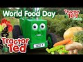 Food On The Farm | Tractor Ted World Food Day  🥔🍎🍓🥕 | Tractor Ted Official Channel #WorldFoodDay