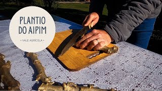Miniatura do vídeo