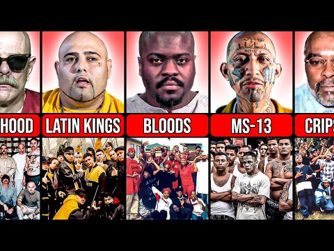 Leaders of the Most Dangerous Gangs in USA