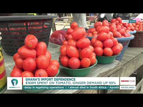 Ghana Spends US$168m Annually on Tomato Imports – CSIR