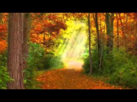 A Time For Love - Matt Monro