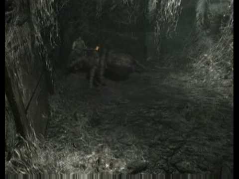 black tiger wii game