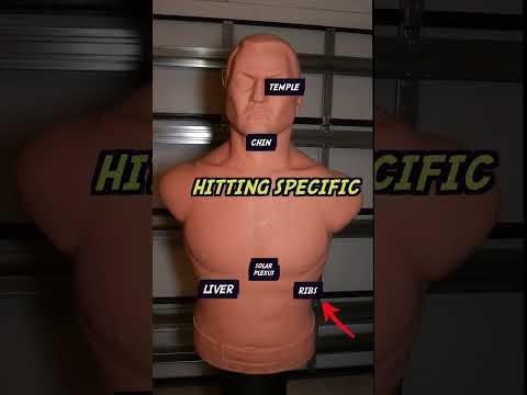 Century BOB punching dummy #boxing #punchingbag #kickboxing #boxingworkout #review #boxingtraining