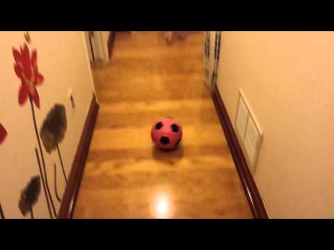 Madison Songha Choi Soccer Girl