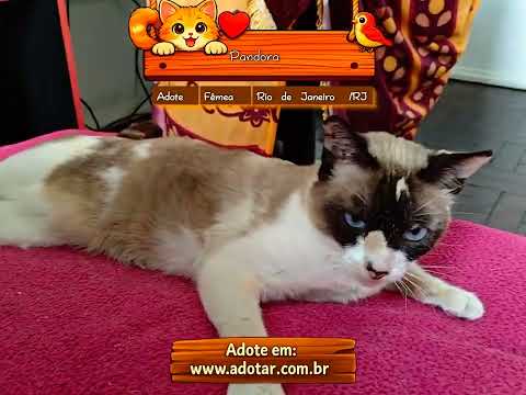 Vídeo de Pandora
