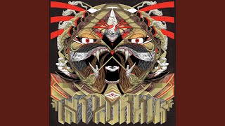 Path I Choose (live)