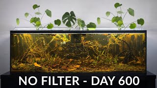 700L Natural Planted Aquarium – 600 Days No Filter, No Water Changes
