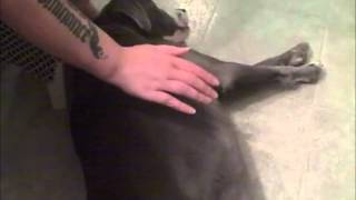 Brandon Plays Dead!   09242012