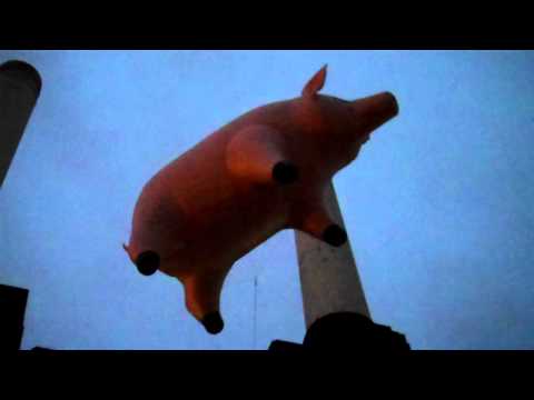 The pig's ascent at Battersea Power Station