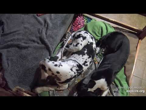 Condo Life pm to 1110pm Blended Larky n Capree 172021