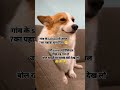 Follow Kar Lo Bhai Trending Funny Shorts Youtubeshorts Like Shortvideo Viralvideo
