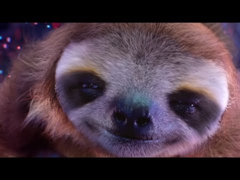 Shootingstars Sloth Meme