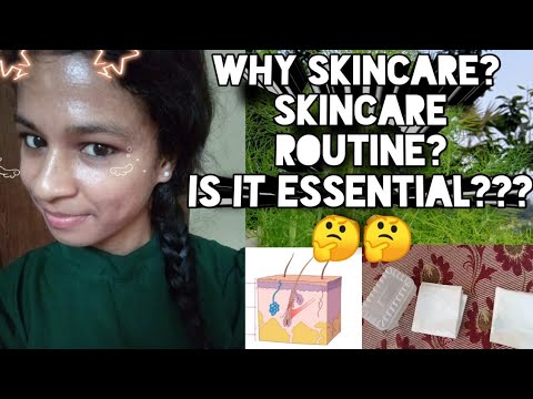 Why skincare|Building skincare routine|Skin anatomy