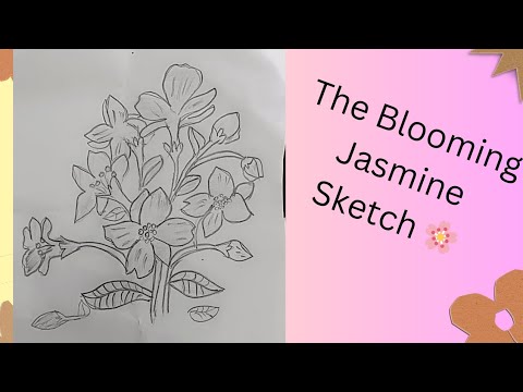 #art The blooming jasmine sketch with nazrin 