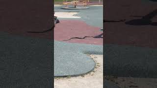 paura-al-parco-santo-spirito-spunta-un-grosso-serpente-tra-famiglie-e-bambini