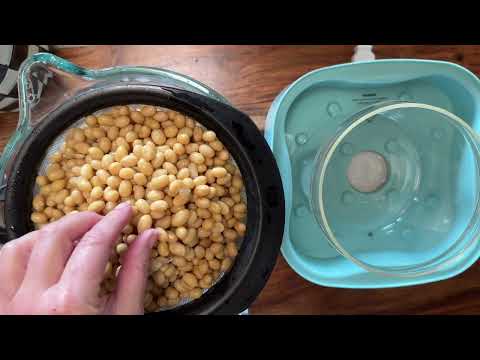 How to Make Natto the Superfood
