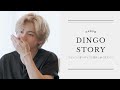230831 Dingo Story 日本語字幕 テヒョンにありがとうと抱きしめられたら