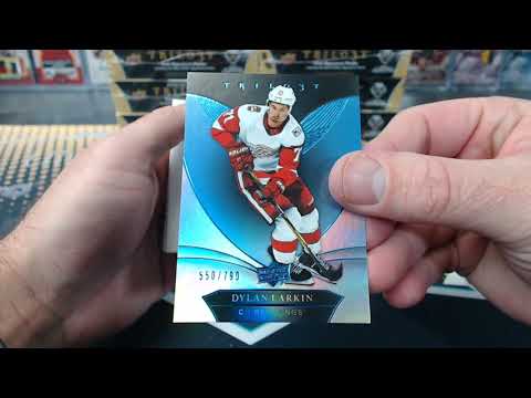 2018-19 Upper Deck Trilogy Hockey 10 Box Case Break #2