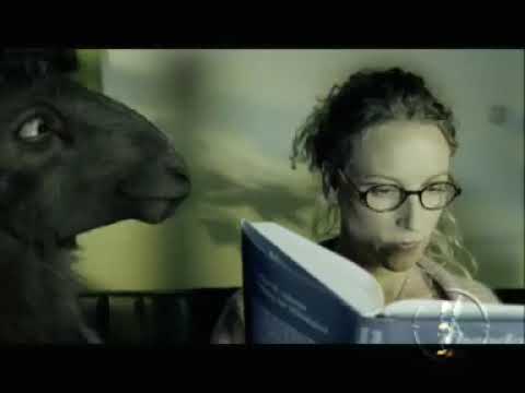 Über schwarze Schafe... Die GEZ bekommt sie alle