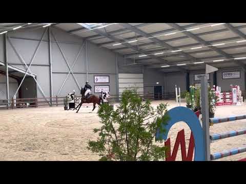 Wadro’s Jerina by Zirocco Blue @1.20m Tolbert