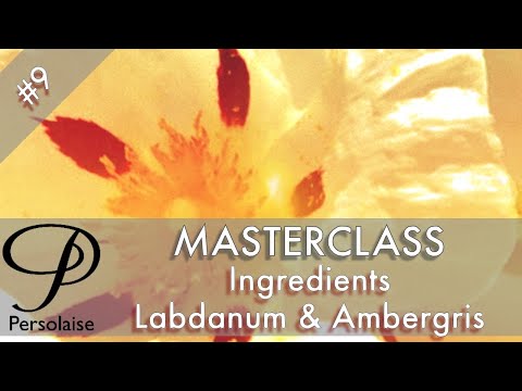 Perfume Masterclass episódio 9 - Ingredientes - Ládano e Ambergris