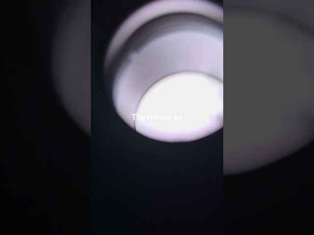 دربيل ليلي  Z9157