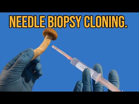 Cloning Mushrooms Using The Needle Biopsy Technique.