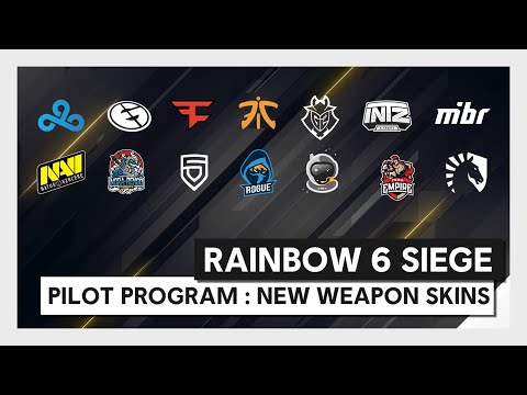 PILOT PROGRAM : NEW WEAPON SKINS