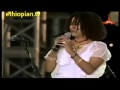 Aster Aweke Live! Be Sebara Fole   Ethiopian music